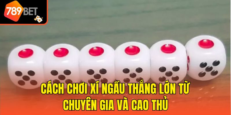 Cách chơi xí ngầu thắng lớn từ chuyên gia và cao thủ