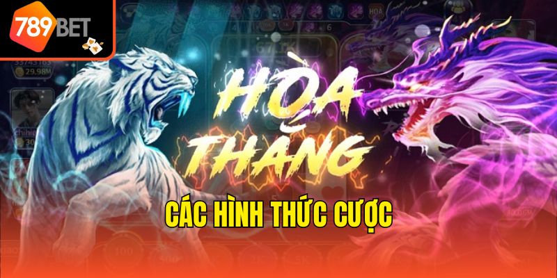 Hướng Dẫn 5 Cách Soi Cầu Rồng Hổ Bất Bại Từ Cao Thủ 3 Các hình thức cược