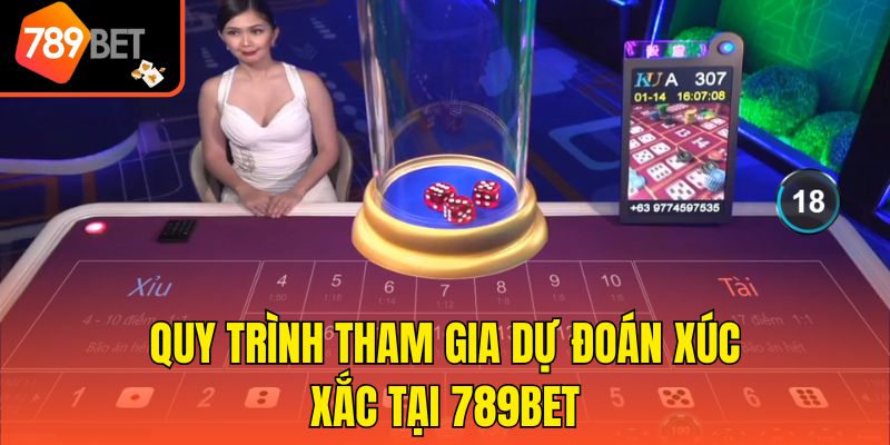 Quy trình tham gia dự đoán xúc xắc tại 789bet