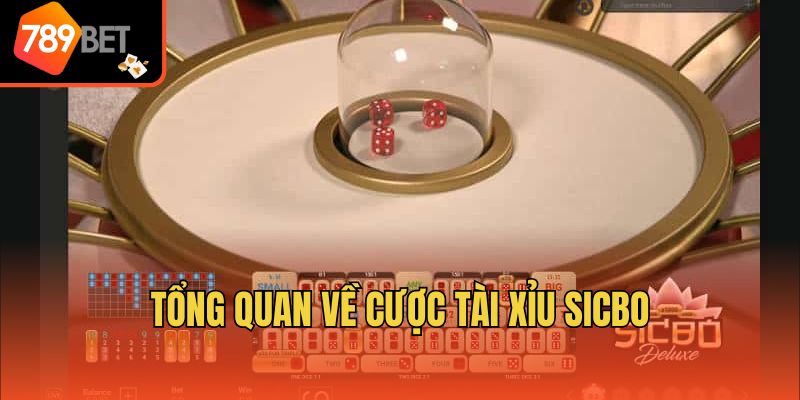 789bet Hướng Dẫn Cược Tài Xỉu Sicbo Chắc Thắng 2 Tổng quan về cược tài xỉu sicbo