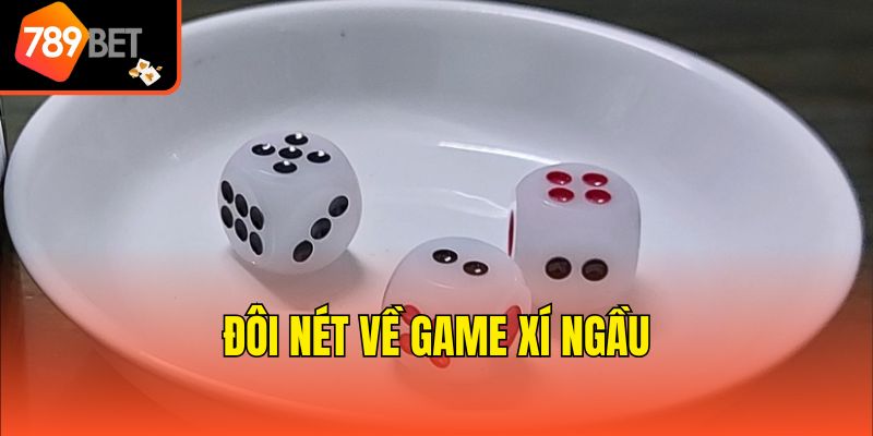 Đôi nét về game xí ngầu