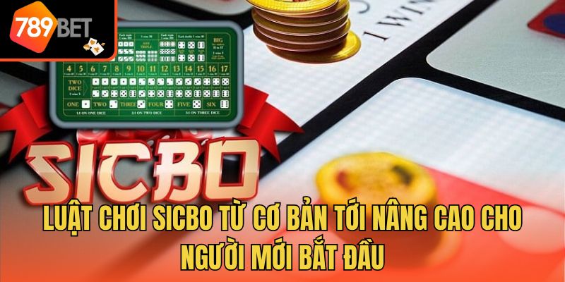 Luật Chơi Sicbo Từ Cơ Bản Tới Nâng Cao Cho Người Mới Bắt Đầu 1 Luật Chơi Sicbo Từ Cơ Bản Tới Nâng Cao Cho Người Mới Bắt Đầu