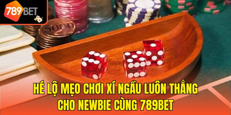 Hé Lộ Mẹo Chơi Xí Ngầu Luôn Thắng Cho Newbie Cùng 789bet 1 Hé Lộ Mẹo Chơi Xí Ngầu Luôn Thắng Cho Newbie Cùng 789bet