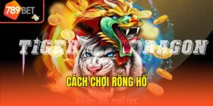 Cách Chơi Rồng Hổ - Tổng Hợp Kiến Thức Cơ Bản Chuẩn Xác