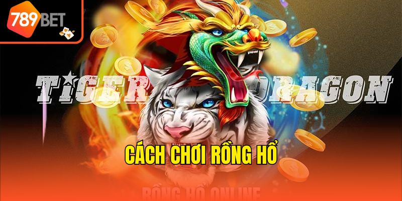 Cách Chơi Rồng Hổ - Tổng Hợp Kiến Thức Cơ Bản Chuẩn Xác