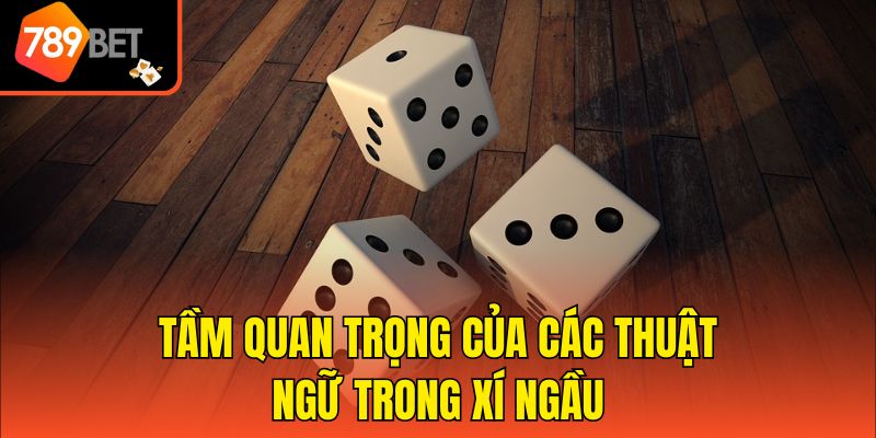 Tầm quan trọng của các thuật ngữ trong xí ngầu