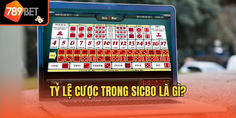 Tỷ Lệ Cược Trong Sicbo - Điều Anh Em Cần Nắm Khi Gia Nhập 2 Tỷ lệ cược trong Sicbo là gì?