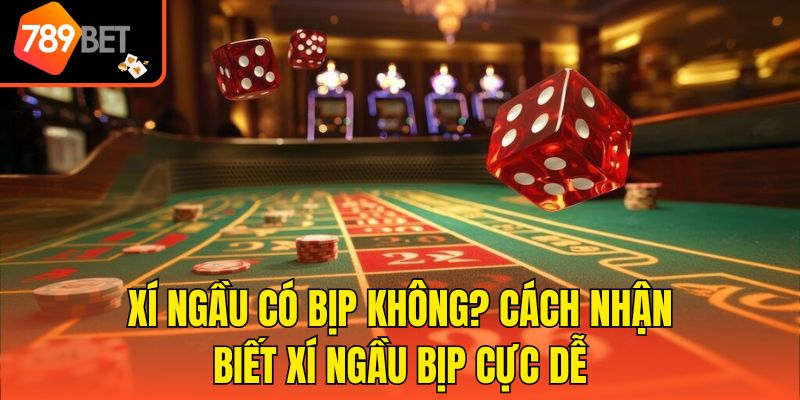 Xí Ngầu Có Bịp Không? Cách Nhận Biết Xí Ngầu Bịp Cực Dễ
